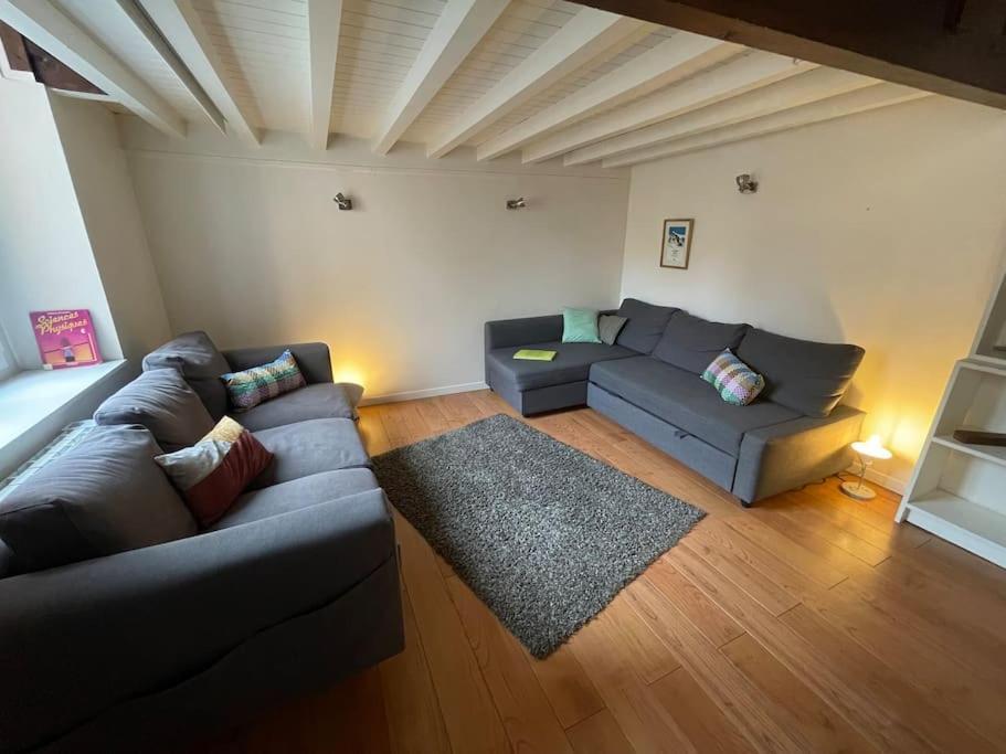 Joli Canut - Proche De Fourviere - 6 Couchages リヨン エクステリア 写真